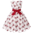 thumbnail image 2 of Girl's Embroidered Dress Girl's Evening Lace Princess Dress Flower Girl Mesh Fluffy Dress Pink, 2 of 7