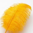 thumbnail image 2 of Big Gold Ostrich Feathers - 24Pcs 8-10inch Feathers for Crafts,Party Centerpieces Mardi Gras and Home Decor, 2 of 17
