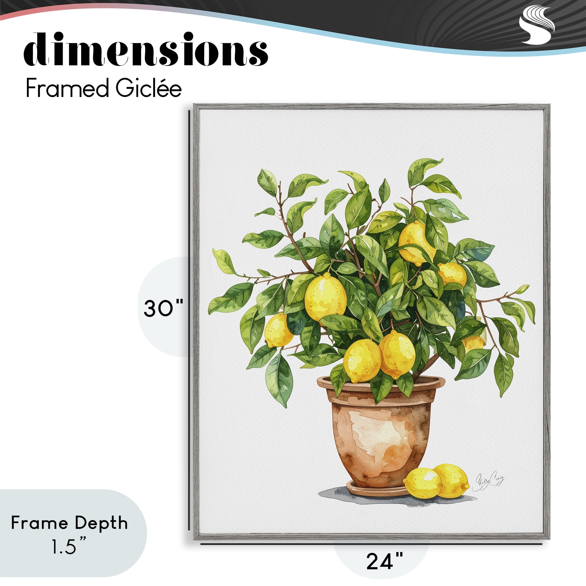Stupell Industries Potted Lemon Tree Gray Framed Giclee Art, design by Shelly Craig