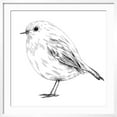 thumbnail image 2 of Art.com Hand-Drawn Robin Art Print by aggressor, White Frame Wall Art, 29" x 29", 2 of 5