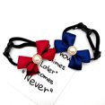 thumbnail image 3 of Chat Noeud Papillon Collier Vintage: Réglable Chien Sécurité Collier Chaton Noeud Papillon pour Animal de Compagnie, 3 of 10