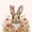 White Red Brown, variant on Erosebridal Cute Rabbit Kids 7-Piece Twin Bedding Sets,Cartoon Gnome Colorful Easter Eggs Bedding Comforter Set For Girls Teens Reversible