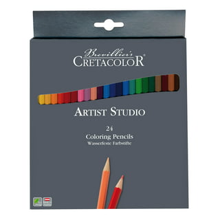 Professional Charcoal Pencils Drawing Set - MARKART 10 Pieces Colour  Charcoal Pencils for Drawing, Sketching, Shading, Blending, Sketch  Highlight White Pencils for Beginners & Artists 