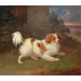 thumbnail image 2 of William Webb 14x12 Black Ornate Wood Framed Double Matted Museum Art Print Titled: A Blenheim Spaniel (1825), 2 of 5