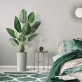 thumbnail image 4 of Artificial Tree in Modern Swirl Pattern Planter, Fake Bird of Paradise Silk Tree for Indoor and Outdoor Home Decoration - 67" Overall Tall (Plant Pot Plus Tree), 4 of 5