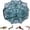 E, variante sur 2026 Kit de Piège de Pêche Pliable Filet Portable pour Crabe et Écrevisse pour Pêcheurs
