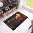 thumbnail image 3 of MKHERT Cool Burning Bird Phoenix in Volcanic Landscape Doormat Rug Home Decor Floor Mat Bath Mat 23.6x15.7 inch, 3 of 3
