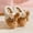 Brown, variant on Caywon Women's Fashion Casual Winter Soft Thick Sole Creatives Non-Slip Indoor Home Cute Cotton Slippers Adorable Design for Cozy Winter Indoor Wear