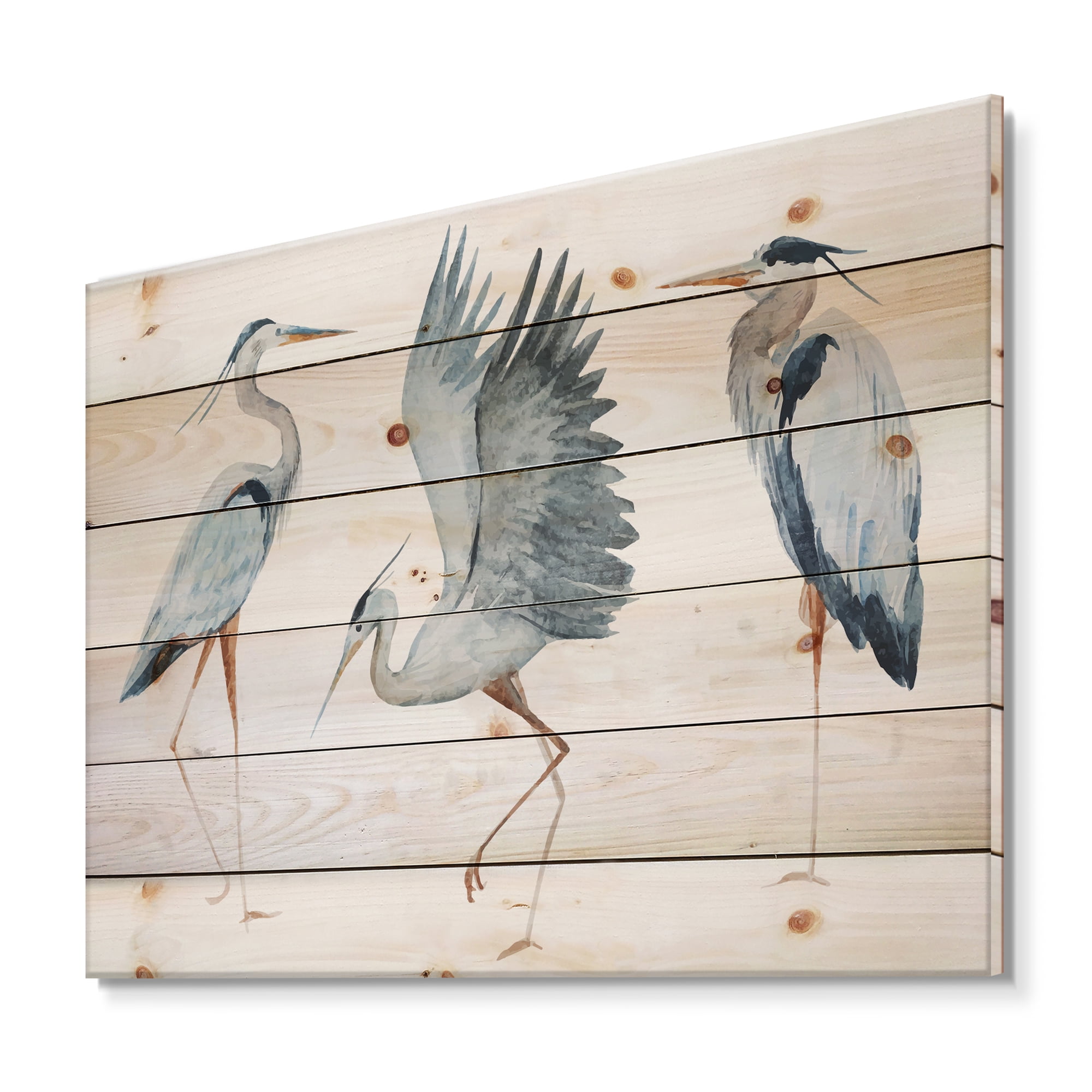 Designart 'Portrait Of Heron Birds II' Traditional Print on Natural Pine Wood