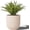 Off White, variant on 16 Inch Handmade Concrete Outdoor Planter - Classic Striped Design | Fiberglass & Composite Material | Durable for Commercial & Home Decor (Black, Round)