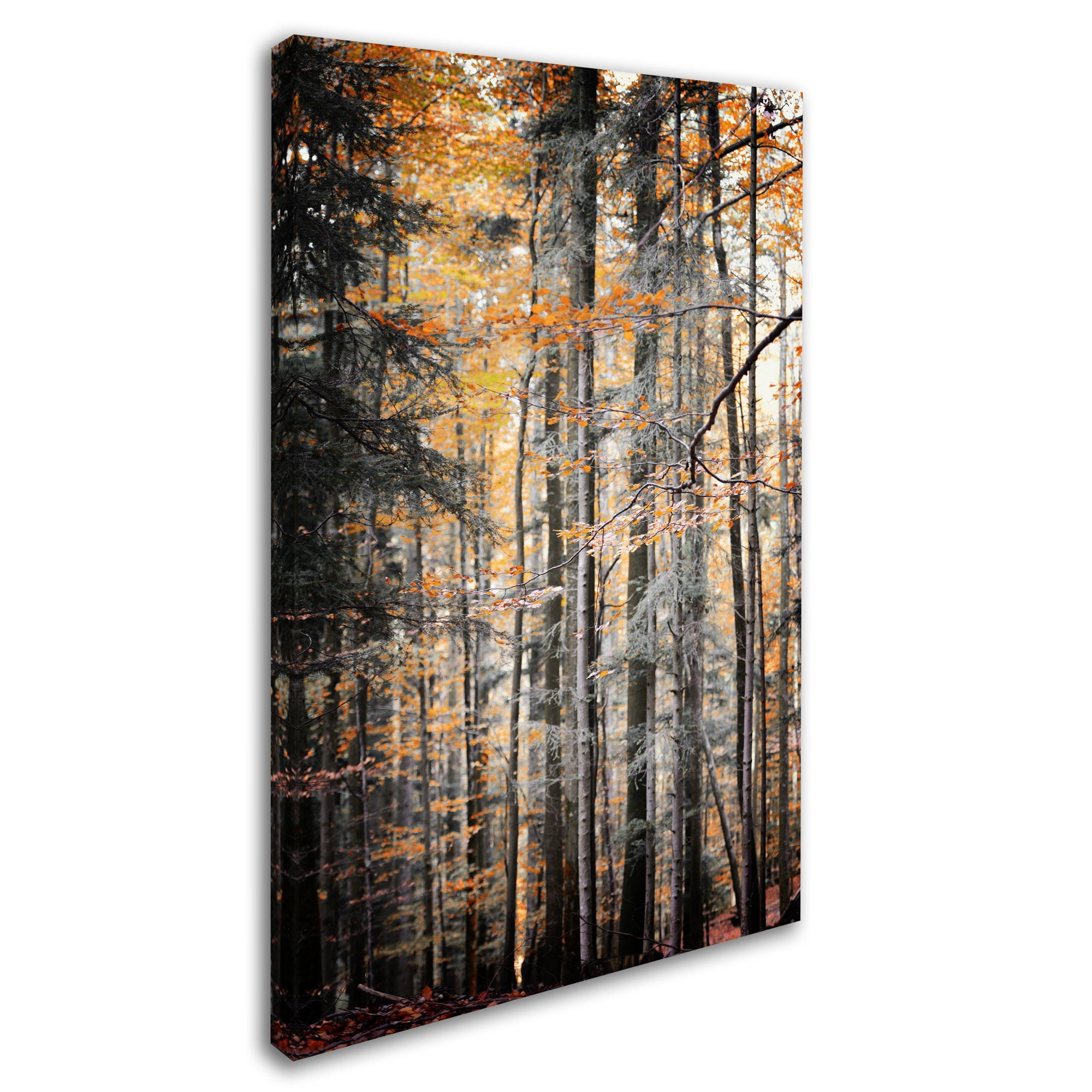 Trademark Fine Art "Autumn Tones" Canvas Art by Philippe Sainte-Laudy