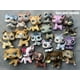 thumbnail image 2 of Junior Pet Shop LPS Pets Collectable, (LPS Pets 5pcs Random & LPS Accesorios 7 PCS Random Junior Pet Shop Junior Pet Shop, 2 of 2