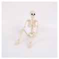 thumbnail image 5 of Halloween Poseable Full Life Size Human Skeleton Prop Anatomy Model Party Decor, 5 of 5
