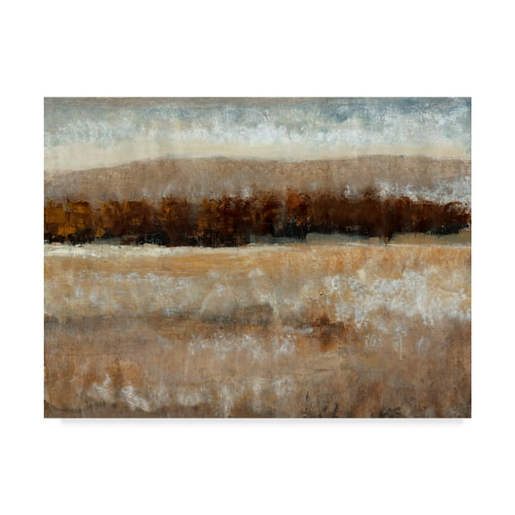 Trademark Fine Art 'Umber Light II' Canvas Art by Tim OToole