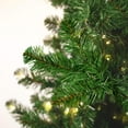 thumbnail image 5 of Vickerman 7.5' Grand Teton Artificial Christmas Tree, Unlit, 5 of 11