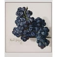 thumbnail image 2 of Leopold Zinnögger 15x17 Gold Ornate Wood Frame and Double Matted Museum Art Print Titled - Grapes (1847), 2 of 4