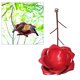 thumbnail image 3 of Comedero para pájaros Kusrkot Alimentador de Alimentación de Recambio de hierro para colibrí, 3 of 8