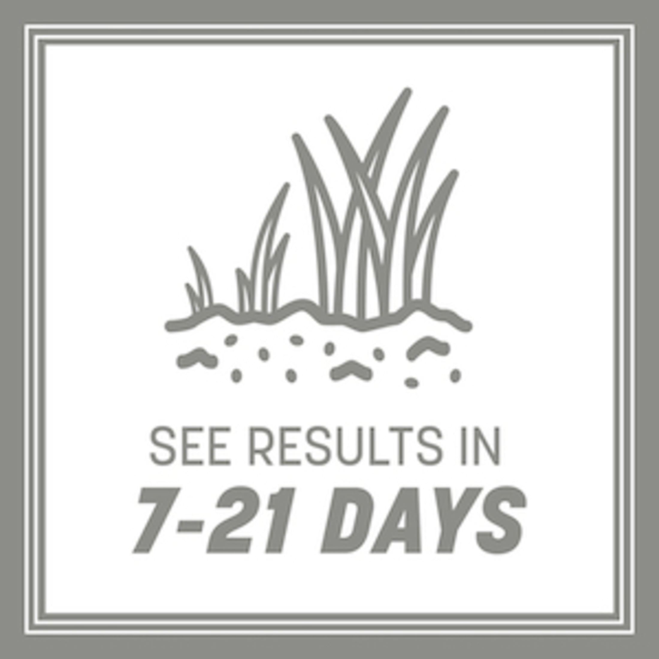 Pennington Contractors Central Zone Grass Seed Mix, for Sun to Partial Shade, 20 lb.