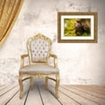thumbnail image 3 of Jaynes Gallery 14x11 Gold Ornate Wood Framed with Double Matting Museum Art Print Titled - Minnesota-Pine County Mink in log, 3 of 4