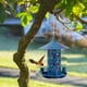 thumbnail image 1 of Comedero colgante de hierro para pájaros para exterior con diseño hueco | Construcción de metal azul inoxidable | Comedero de jardín duradero y resistente a la intemperie | Bandeja de fácil r, 1 of 5