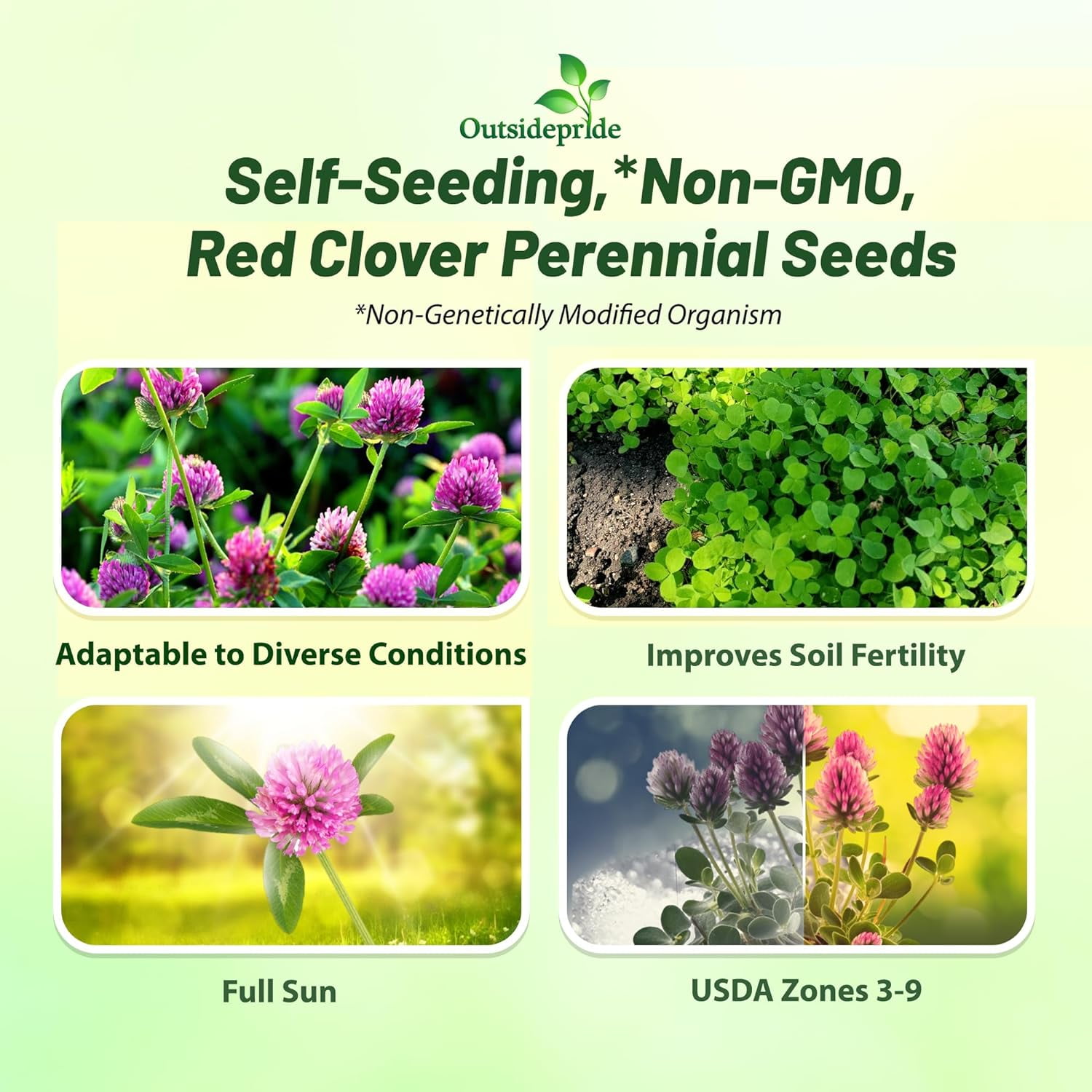 Outsidepride Red Clover Nitro-Coated Plant Seeds, 10 lbs