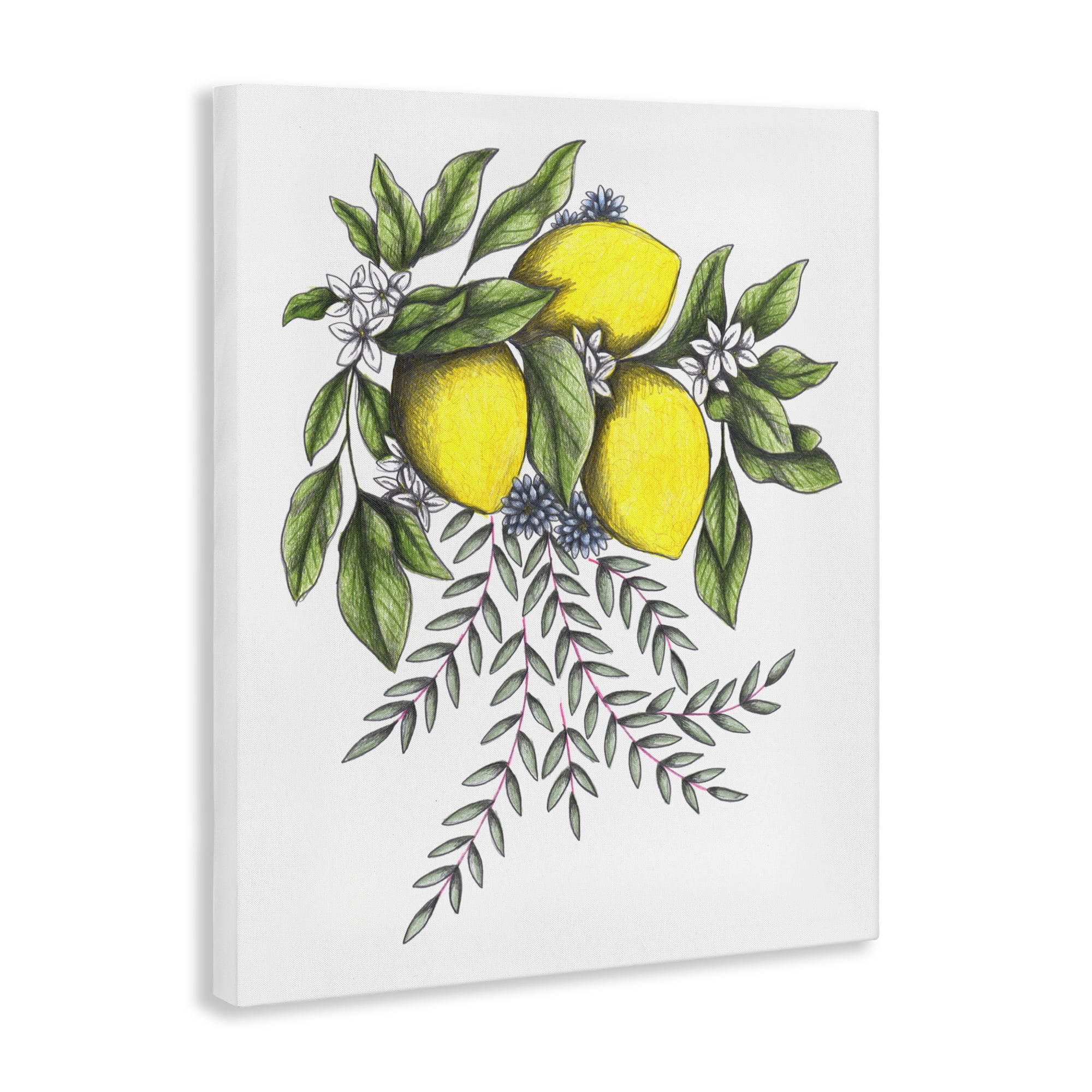 Lemons & Flowers Vintage Sketch Canvas Wall Art, design by Cecilia Battaini