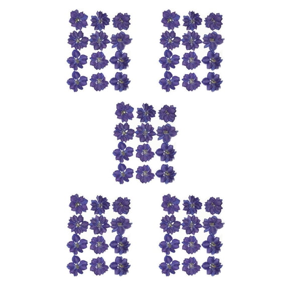 Flores prensadas Yuarrent pétalos naturales decoración Floral segura accesorio de arte DIY Morado