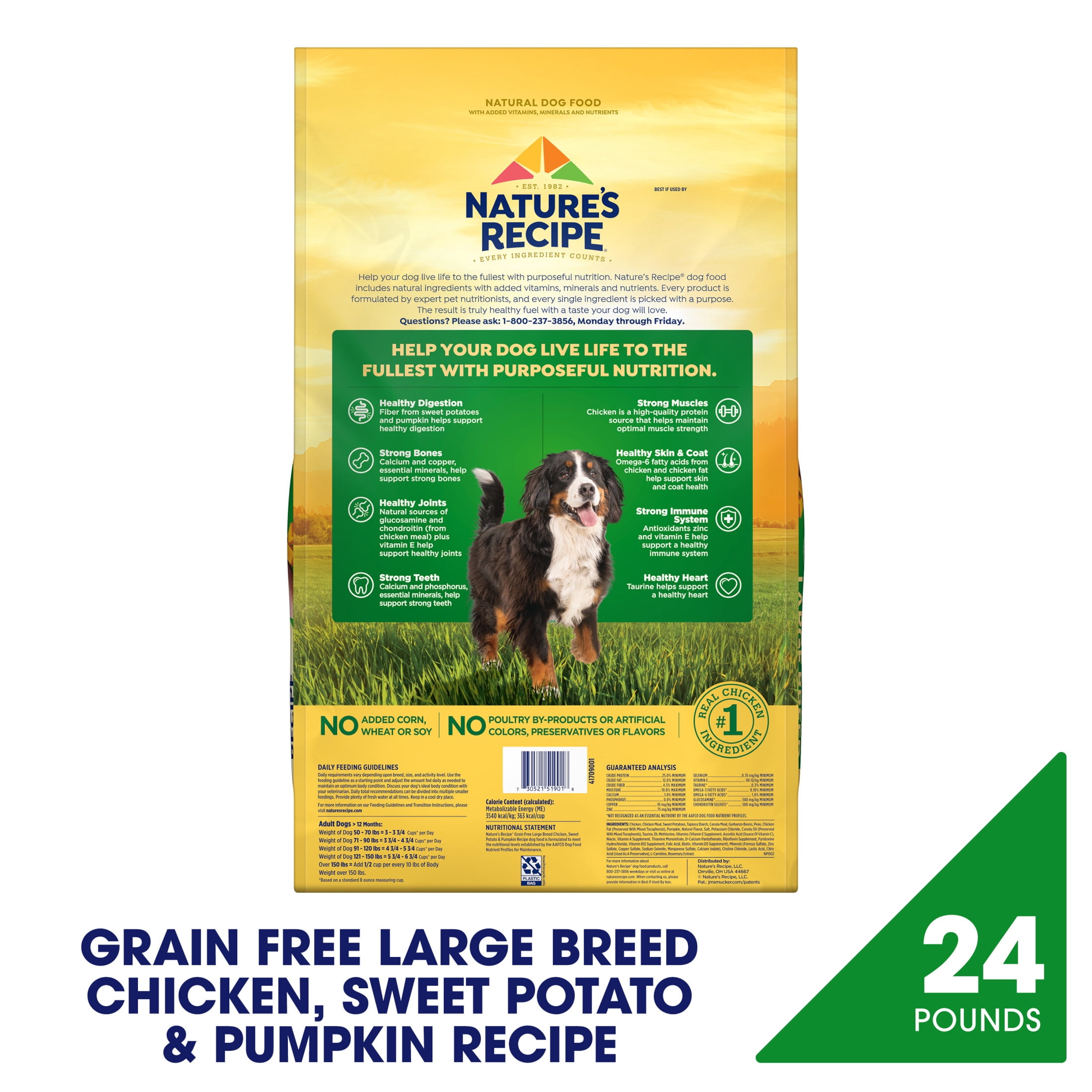 Nature's Recipe Grain Free Large Breed Dry Dog Food Chicken, Sweet Potato & Pumpkin, 24 lb Bag