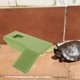 thumbnail image 1 of GOOHOCHY Accesorio Para Tortuguero Con Plataforma Para Zona De Descanso, 1 of 6