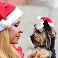 thumbnail image 6 of 6 Adorable Pet Santa Hats with Elastic Straps - Comfortable, Anti-Fall Christmas Costume Accessories for Cats and Dogs, 6 of 8