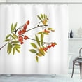 thumbnail image 1 of Ambesonne Rowan Shower Curtain, Fresh Organic Ashberry, 69"Wx84"L, Green Red Brown, 1 of 3