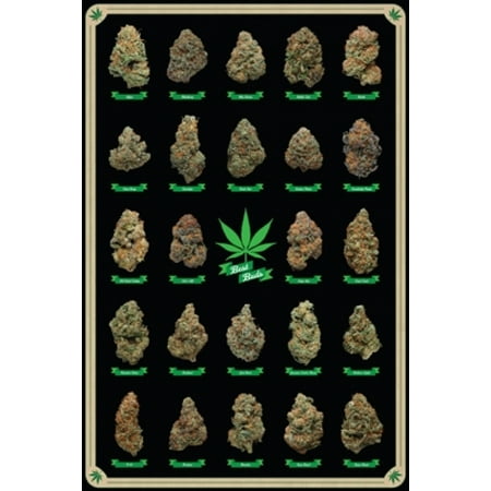 Best Buds Marijuana Poster Poster Print
