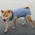 SUGARMOM Recovery Suit for Dogs Cats After Surgery Recovery Shirt for