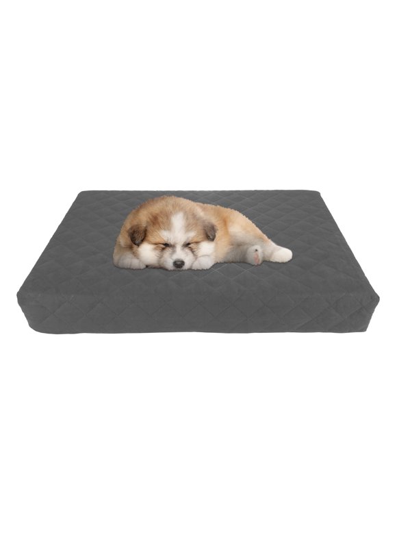 Small Dog Beds in Dog Beds