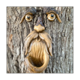 thumbnail image 5 of Unique Bird Fed Tree Face, 5 of 5