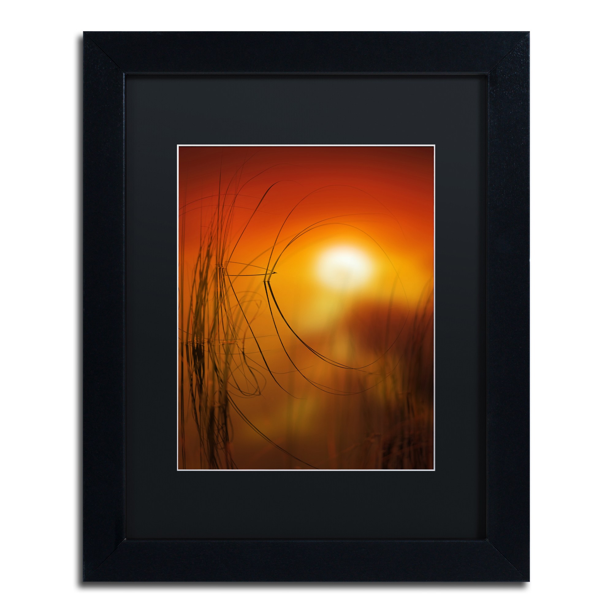 Trademark Fine Art ''Nature Time Machine'' by Philippe Sainte-Laudy 16" x 20" Black Matted Black Frame (886511797888)