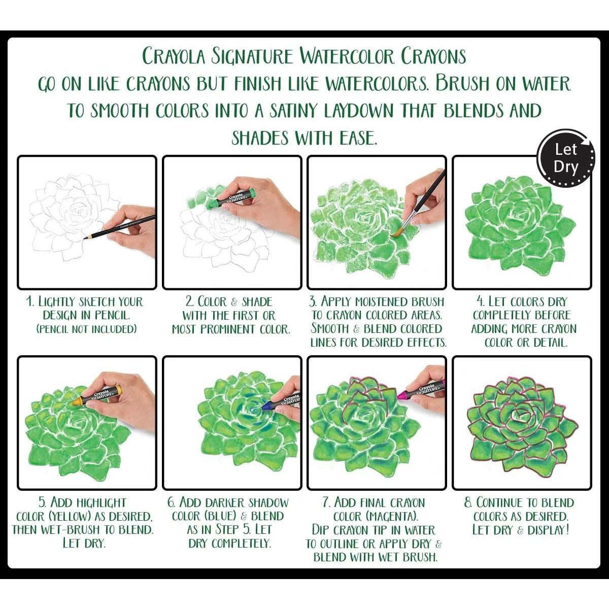 Crayola Signature Watercolor Crayon Sticks Paint Set, 12 Ct, Adult & Teen Stocking Stuffers, Holiday Arts and Crafts