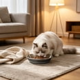 thumbnail image 5 of Cififendec Non Slip Thickened Pet Bowl, 4.72", Stainless Steel Wide Shallow Anti Vomit Feeding Dish for Indoor Kitten Cat Dry Wet Food Water Feeder Bowl, 5 of 5