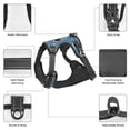 thumbnail image 6 of Salouo Cute Cartoon Astronaut for Dog Harness, No-Pull Pet Harness Adjustable Dog Vest No-Choke Reflective Pet Vest for Small, Medium & Large Dogs for Training & Walking-Large, 6 of 6