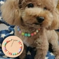 thumbnail image 1 of Dosaele Multi-color Faux Pearl Dog Necklace Candy Colors Accessory for Dogs Fashionable Pet Jewelry Photography Props, 1 of 9