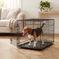 thumbnail image 4 of Vibrant Life 24 in Foldable Metal Dog Training Crate with Divider Panel and Leak-Proof Tray, 4 of 10
