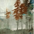 thumbnail image 2 of Art.com Spruce Woods II Stretched Canvas Print Wall Art by Andrew Michaels, 24" x 24", 2 of 4