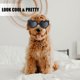 thumbnail image 3 of Gafas para perros con forma de corazón, gafas de sol ajustables para mascotas, resistentes al polvo, a los rayos UV y al viento, color negro., 3 of 5