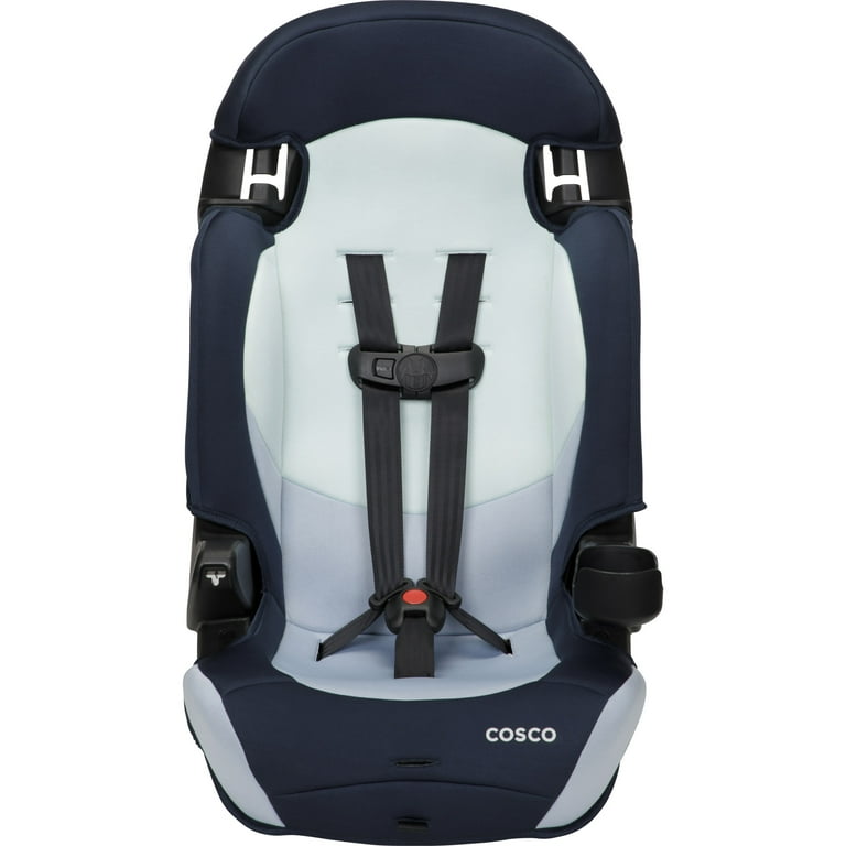 Cosco Kids Finale DX 2-in-1 Booster Car Seat, Rainbow