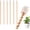 6pcs, variant on Electroculture Plant Stakes, Copper Wire Wooden Garden Stakes，3pcs：13.8 in | Copper wire & wooden stakes. Designed for stimulating root development in vegetable patches & potted herbs