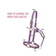 thumbnail image 4 of Cabestro para caballo Weaver Equine Original de nylon, talla pequeña, negro, 4 of 7