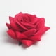 thumbnail image 5 of 10 cabezas de rosas artificiales de terciopelo rojo para decoración del hogar y bodas, 5 of 9