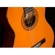 Washburn Classical Series C5 Acoustic Guitar, Rosewood Fretboard, Natural