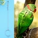 FAGINEY Oiseaux Jouet, Perroquet Pied Jouet, 3,5 / 4,5 / 5,5 Mm en Acier Inoxydable Perroquet Oiseaux Pied Chaîne + Anneau Jouets – image 4 sur 8