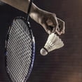 thumbnail image 5 of 12PCS High Speed Goose Feather Badminton Balls Shuttlecocks Outdoor Indoor Training, 5 of 5